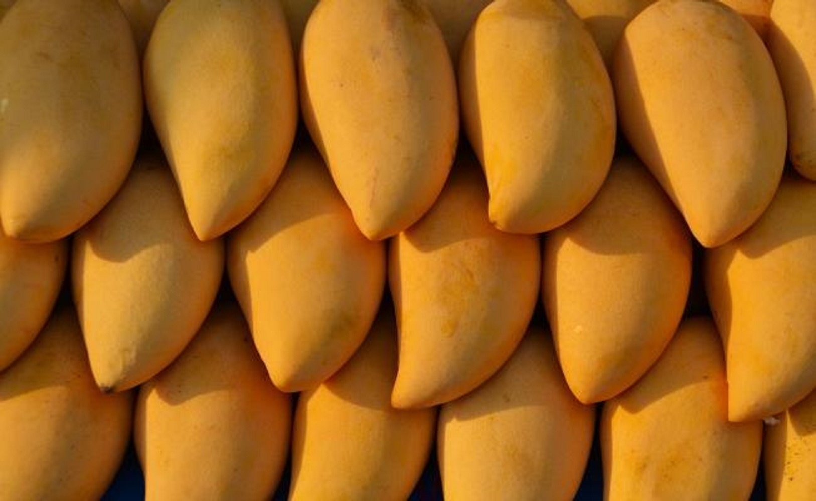 Beneficios del mango