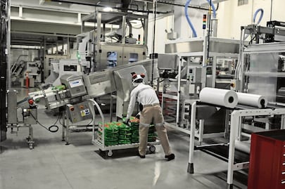 Aumenta 4.9% la actividad industrial estatal