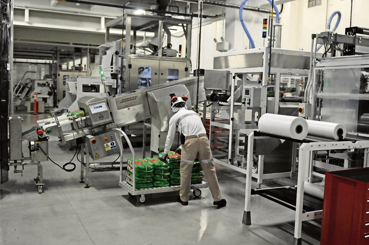 Aumenta 4.9% la actividad industrial estatal