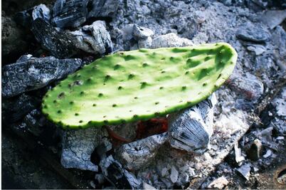 5 alimentos para bajar la glucosa en la sangre