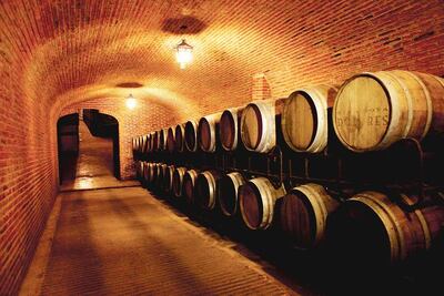 Estado es reconocido como gran productor de vino