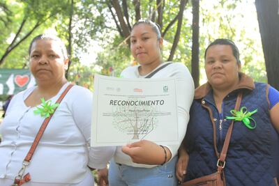 Honran a donadores de órganos con Árbol de la Vida