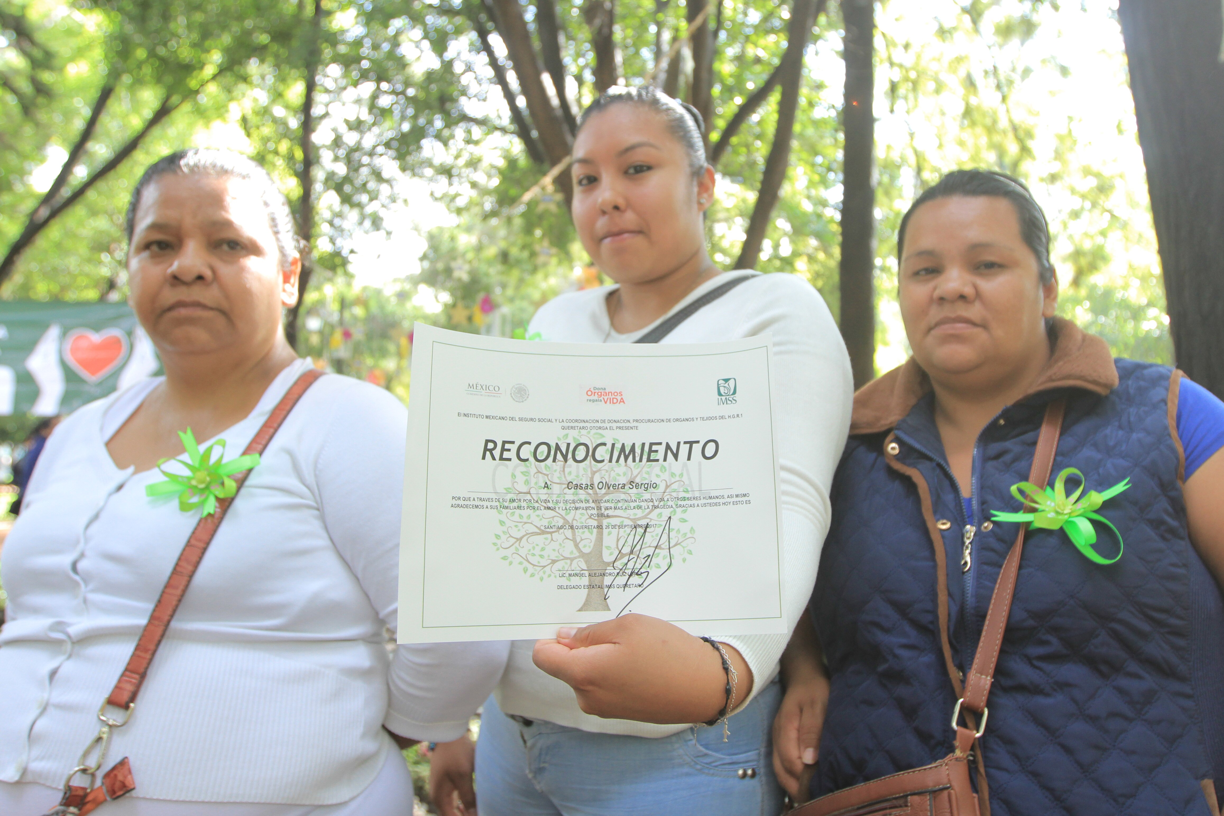 Honran a donadores de órganos con Árbol de la Vida