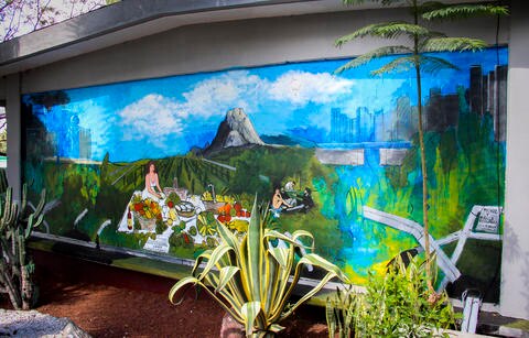 Arte y colorido en la UAQ