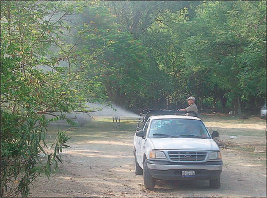 Casos de chikungunya, importados