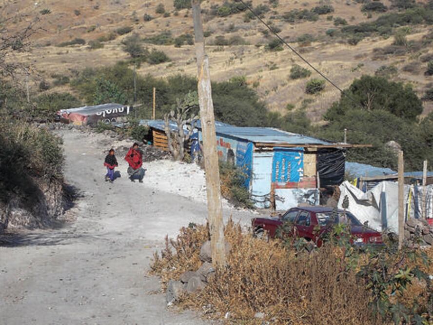 Impulsan regularización