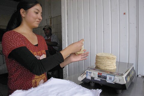 Precio de tortilla se mantiene