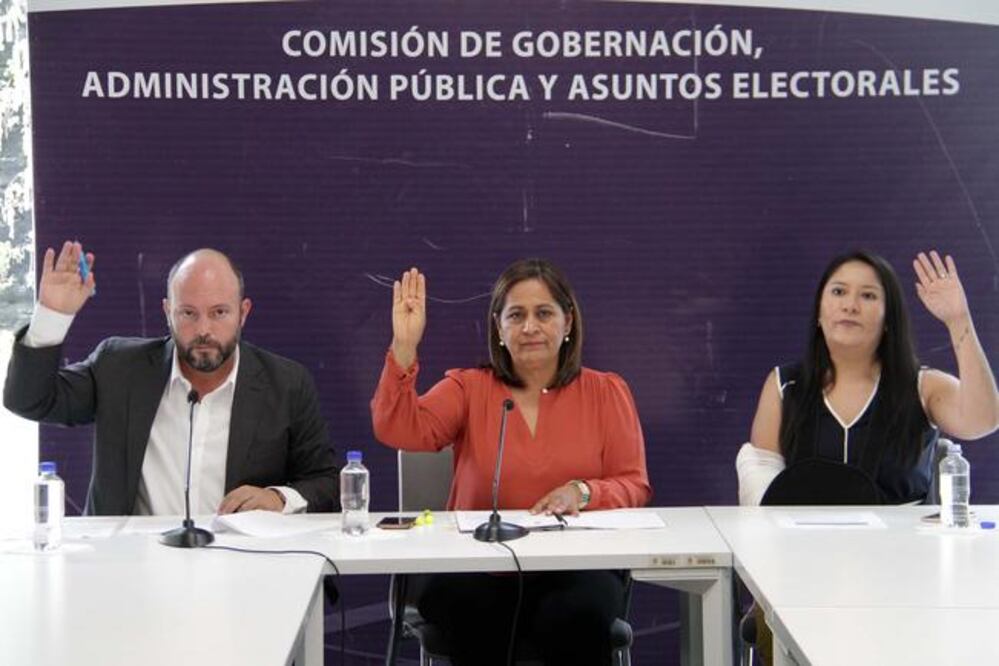 La diputada Carmen Zúñiga Hernández puntualizó que la reforma a la ley sobre bebidas alcohólicas del estado tiene la intención de reducir la venta de forma clandestina. / Foto: Especial