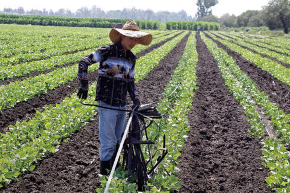 Alistan un plan preventivo para el campo