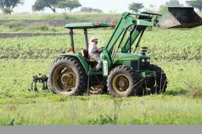 Intermediarios mal del campo: Rector