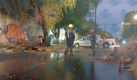 Lluvias del fin de semana dejan 18 árboles caídos y encharcamientos