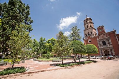 Ya está controlada la plaga de ratas en el Centro Histórico de Querétaro