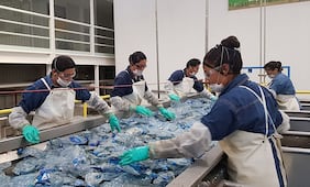 Reciclables, 95% de insumos de Mipymes de Querétaro