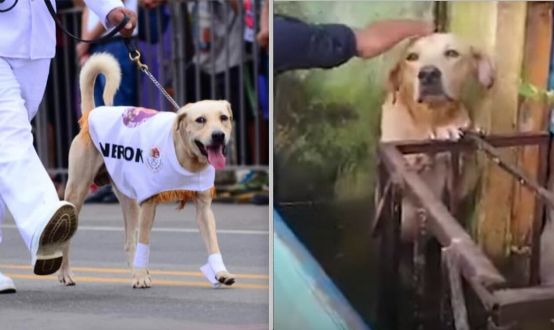 Foto: Facebook y captura de pantalla