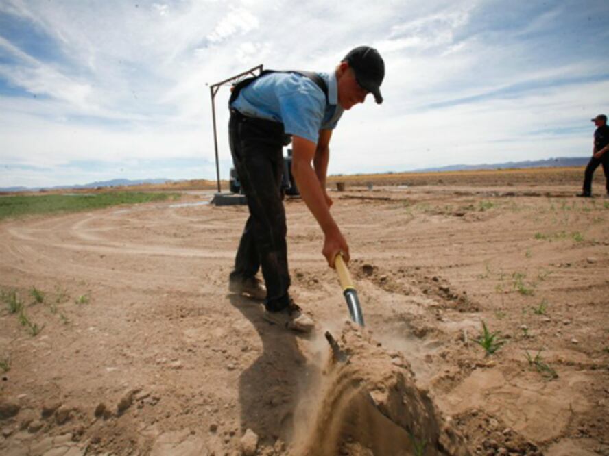 Se pone en operación Cabina de Forraje