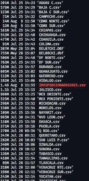Entre las bases que se encuentran a la venta en la dark web destaca “IMSSPENSIONADOS2025”. Foto: Especial