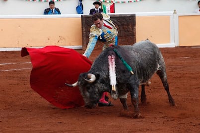 Gran verbena mexicana en Provincia Juriquilla