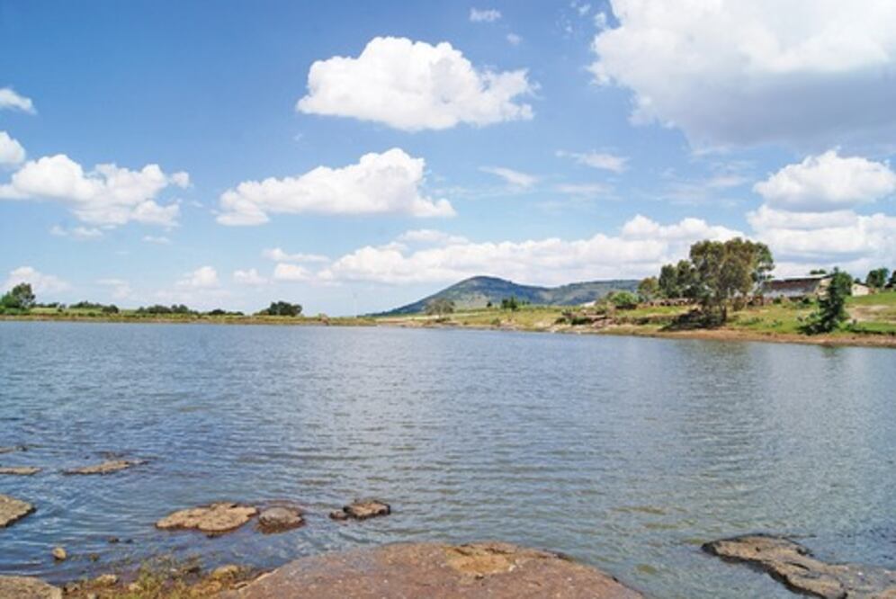 Reportan alto nivel en presas