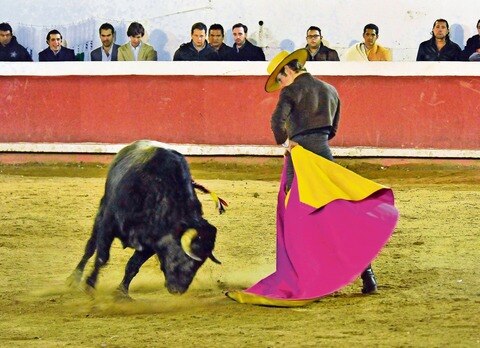 Que ‘crueldad’ no sea patrimonio cultural