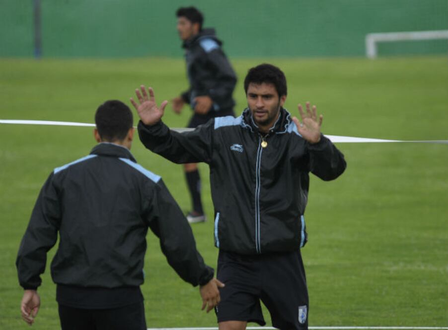 Gallos cansados por entrenamientos