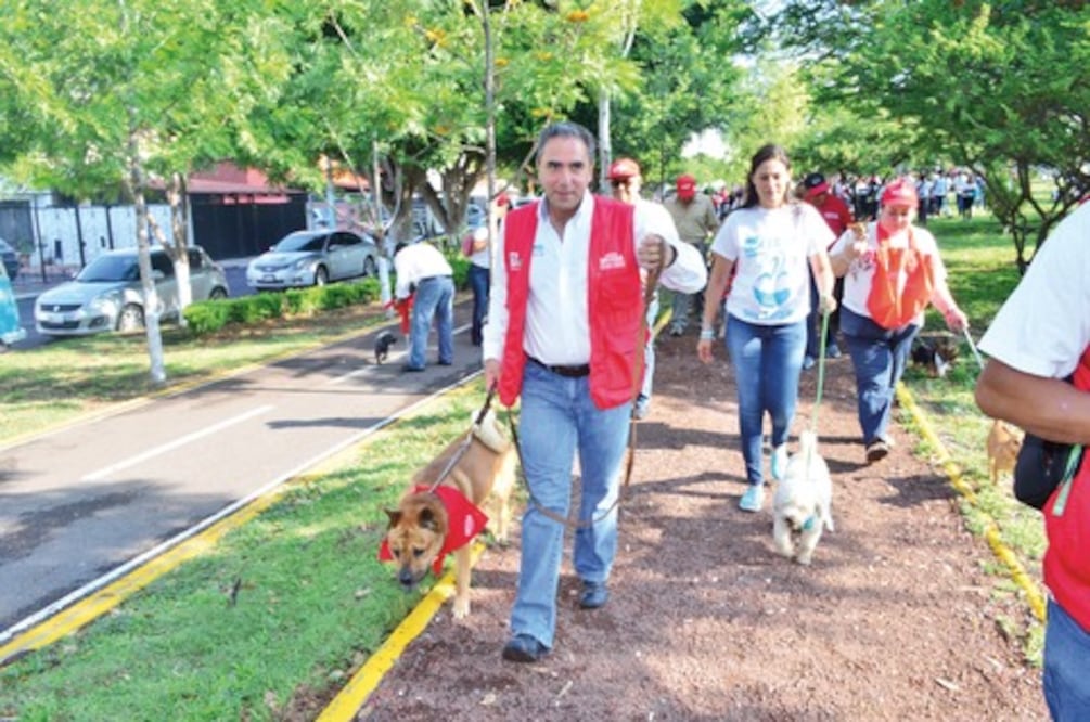 Ortega, a favor de las mascotas