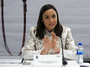 Ley de Salud Mental no ha entrado en vigor 