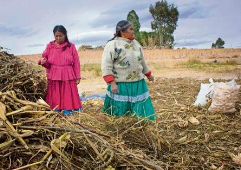 Avalan correcta operación