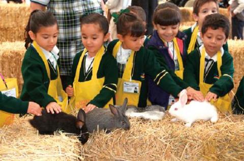 Educan a niños sobre el maltrato animal
