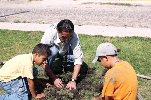 Dan huerto para autoconsumo