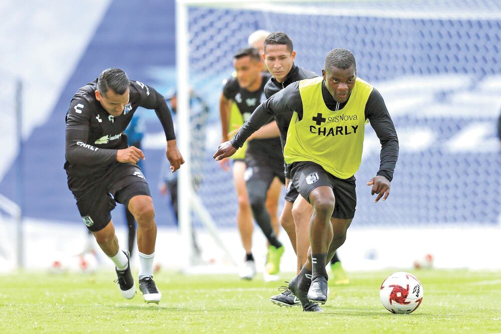 Gallos, a domar al León 
