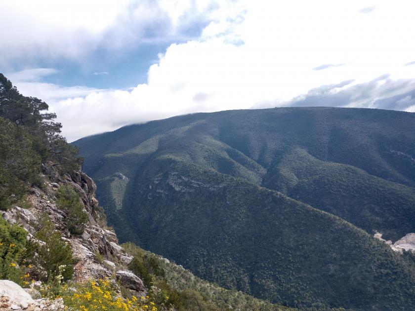 Viajamos en octubre. Hacía frío y ya era tarde. Casi de noche. Llueve y la neblina confunde. El GPS nos dice que hay que llegar primero a la comunidad de El Doctor, en Cadereyta de Montes.