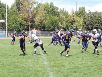 Infantiles de Gatos Salvajes son líderes