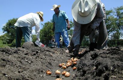 Querétaro entrega apoyos a productores