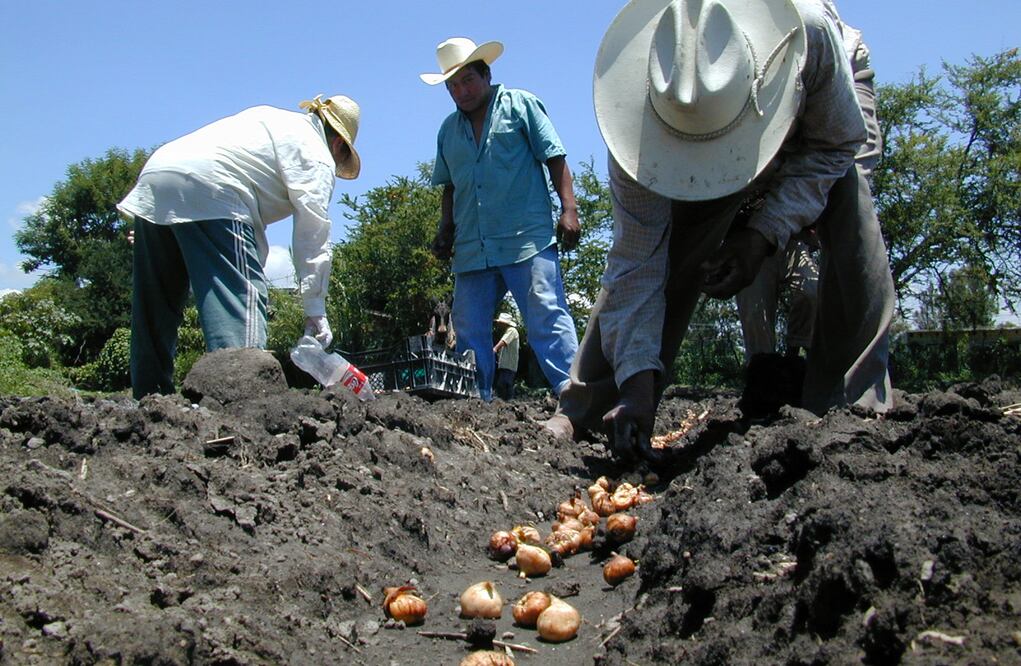 FOTO: Archivo El Universal