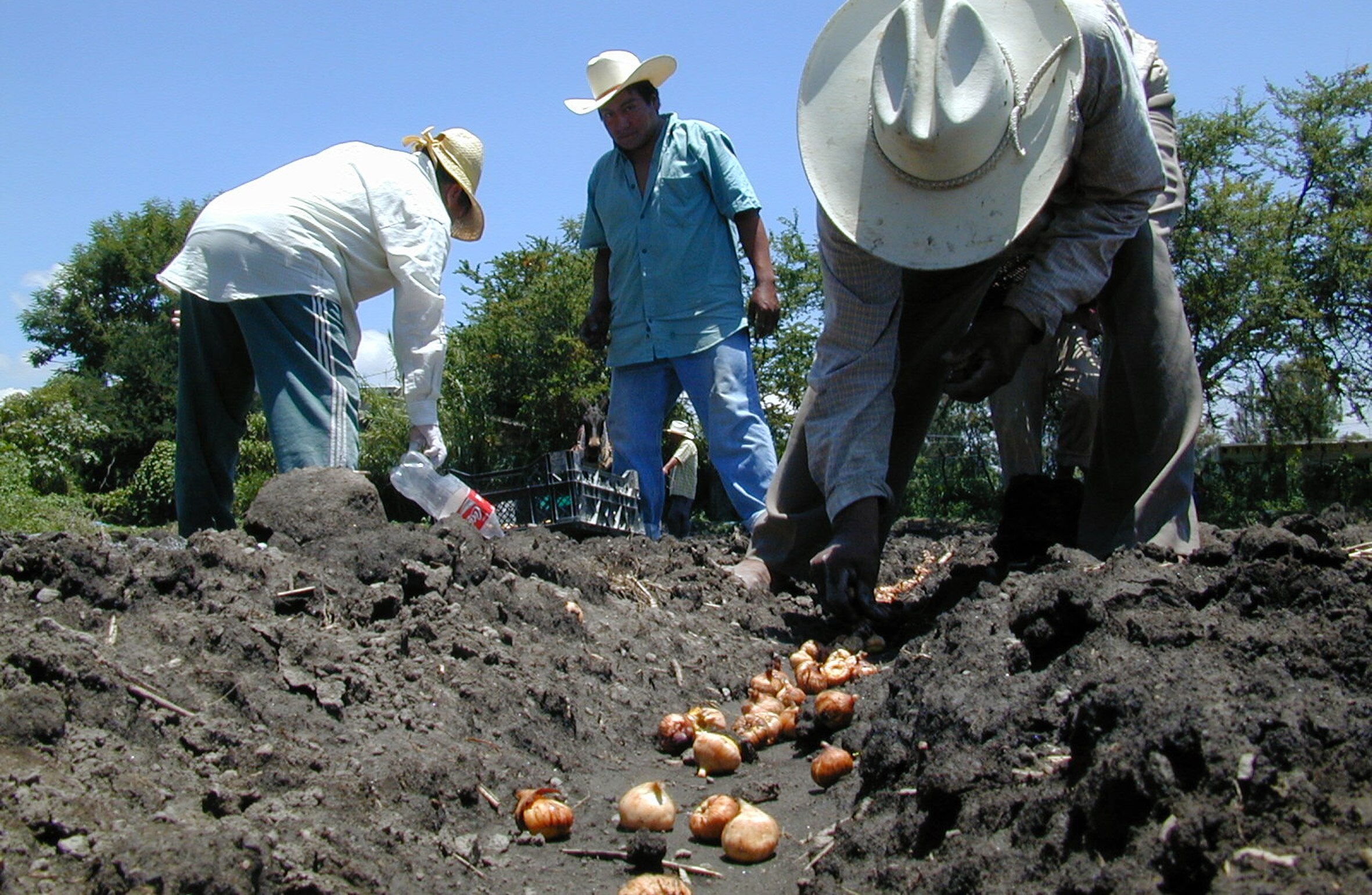 Querétaro entrega apoyos a productores