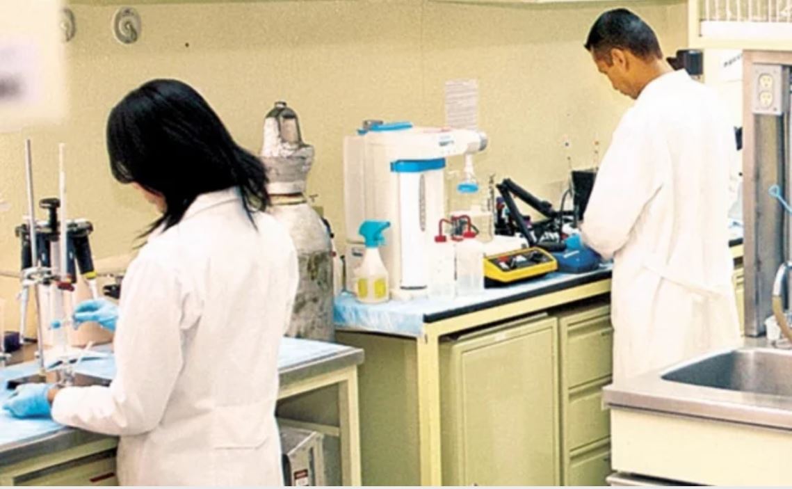 Crea UNAM modelos para cura de cáncer