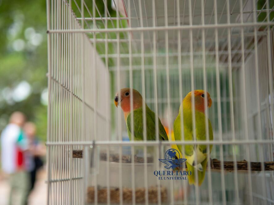 Foto: Fernando Camacho