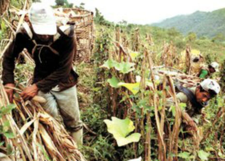 Agflación y el gasto de los hogares