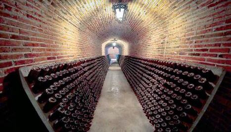 Destacan los vinos queretanos a nivel nacional