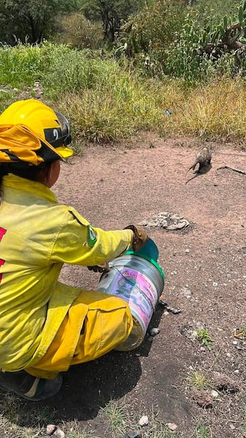 Foto. Facebook Bomberos Voluntarios Ezequiel Montes Querétaro