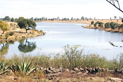  Piden a Conagua 331 mdp para presas