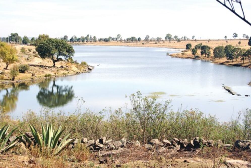 Piden a Conagua 331 mdp para presas