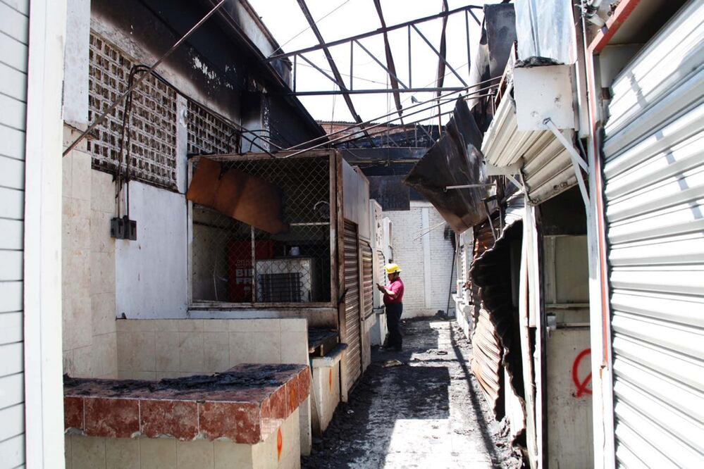 Foto: Archivo. EL UNIVERSAL