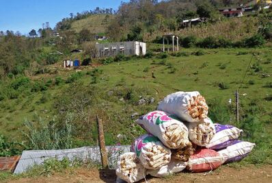 Suspenden apoyo de Prospera a 2 mil beneficiarios