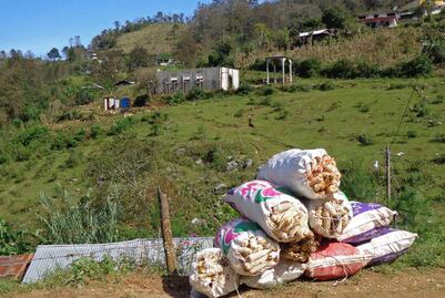 Suspenden apoyo de Prospera a 2 mil beneficiarios