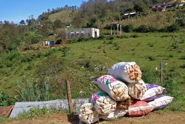 Suspenden apoyo de Prospera a 2 mil beneficiarios