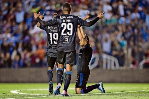 Contundencia, receta de Gallos