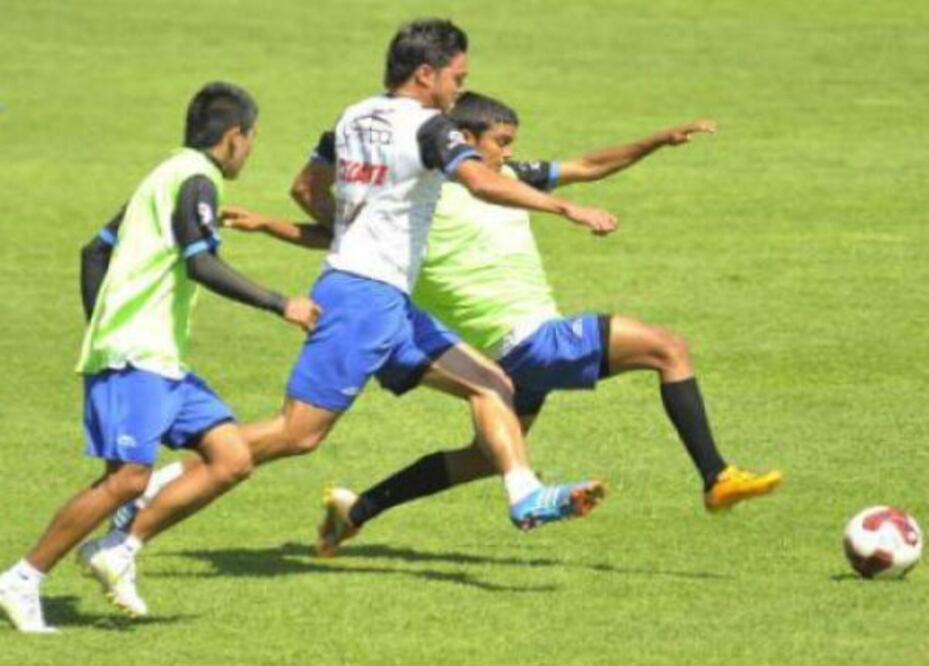 Gallos analiza próxima alineación 