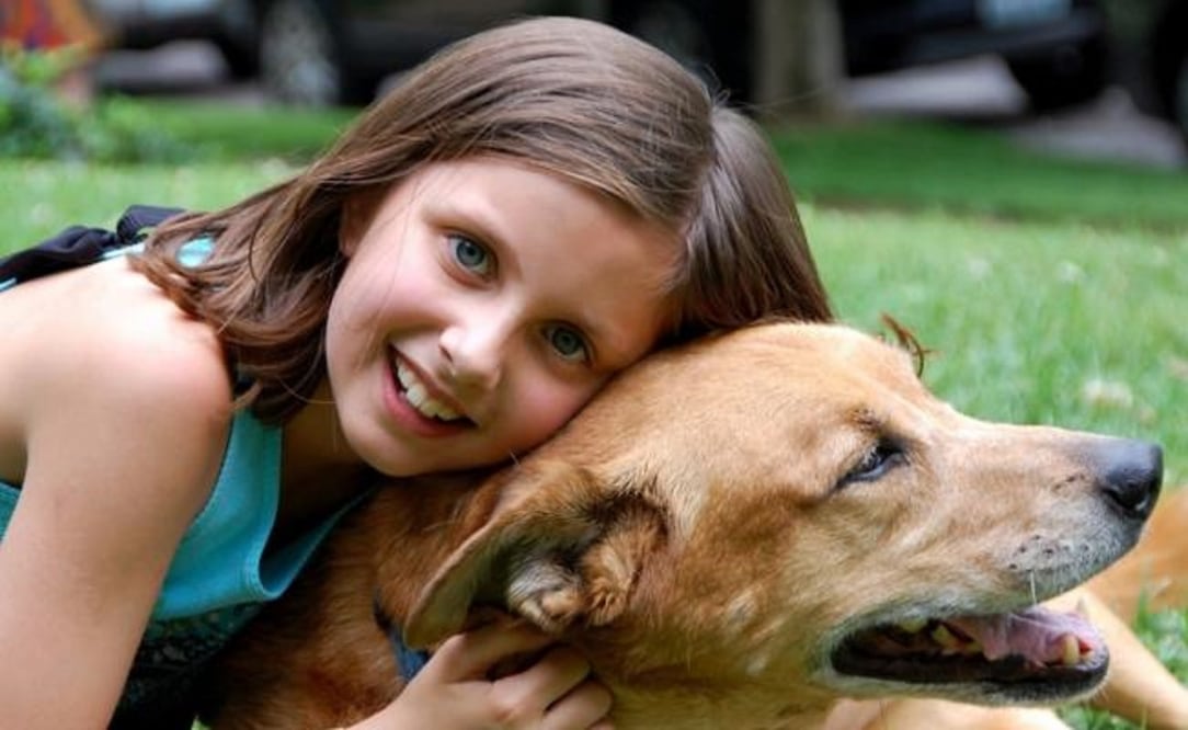 Foto: Archivo. EL UNIVERSAL