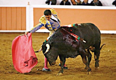 Busca confirmar en La México